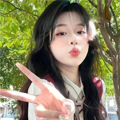 动画纪录
